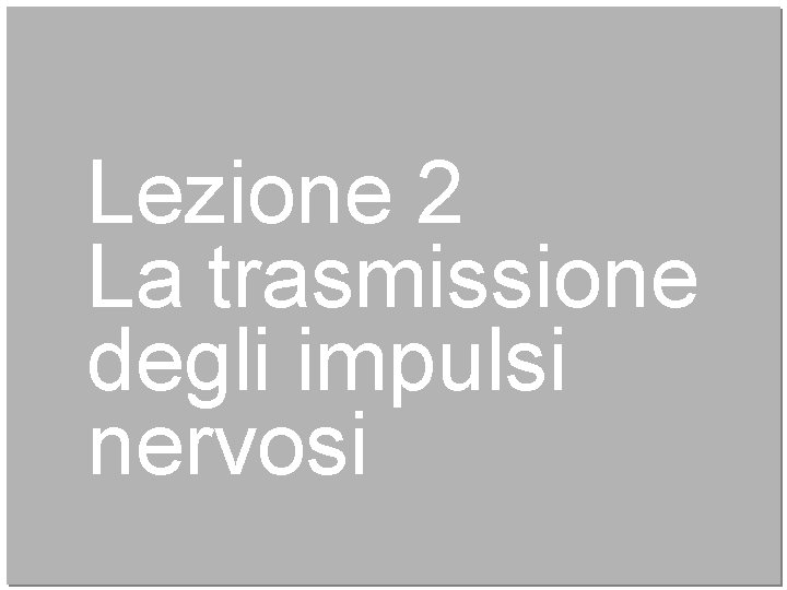 Lezione 2 La trasmissione degli impulsi nervosi 