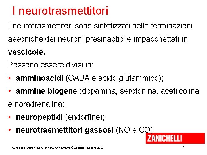 I neurotrasmettitori sono sintetizzati nelle terminazioni assoniche dei neuroni presinaptici e impacchettati in vescicole.