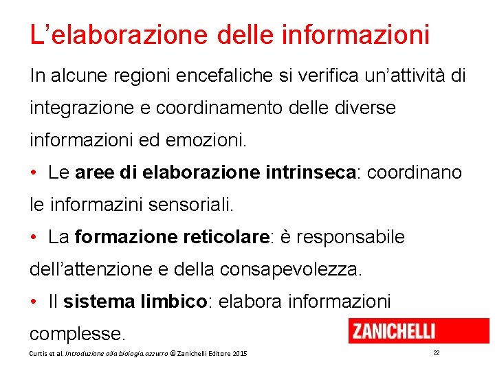 L’elaborazione delle informazioni In alcune regioni encefaliche si verifica un’attività di integrazione e coordinamento