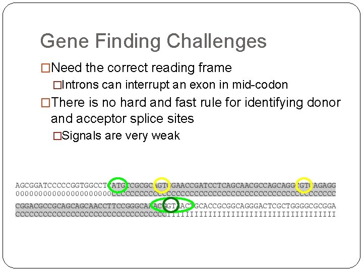 Gene Finding Challenges �Need the correct reading frame �Introns can interrupt an exon in Gene Finding Challenges �Need the correct reading frame �Introns can interrupt an exon in