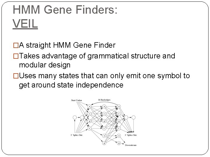 HMM Gene Finders: VEIL �A straight HMM Gene Finder �Takes advantage of grammatical structure HMM Gene Finders: VEIL �A straight HMM Gene Finder �Takes advantage of grammatical structure