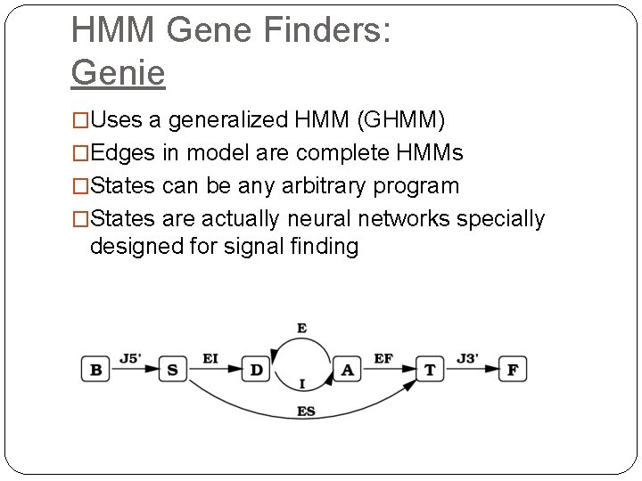 HMM Gene Finders: Genie �Uses a generalized HMM (GHMM) �Edges in model are complete HMM Gene Finders: Genie �Uses a generalized HMM (GHMM) �Edges in model are complete