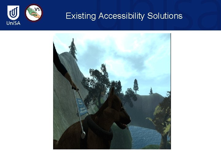 Existing Accessibility Solutions 