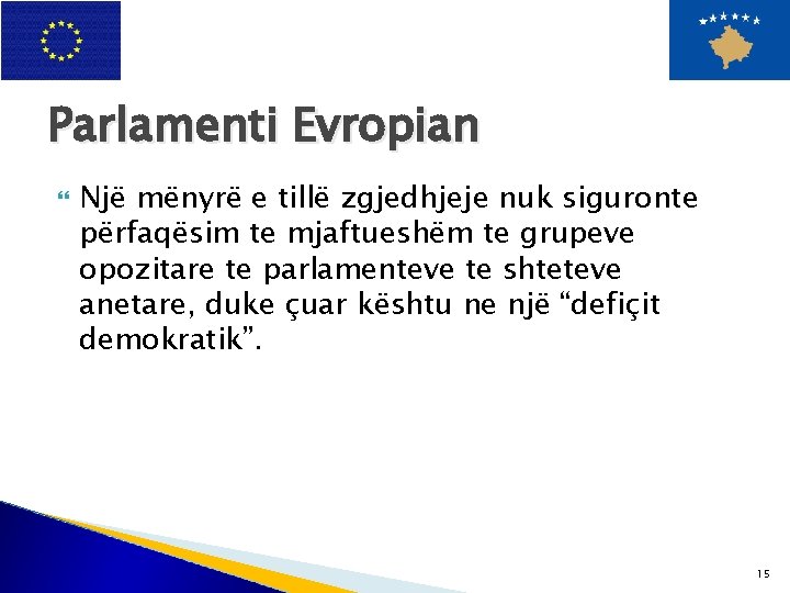 Parlamenti Evropian Një mënyrë e tillë zgjedhjeje nuk siguronte përfaqësim te mjaftueshëm te grupeve