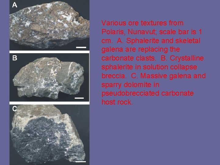 Various ore textures from Polaris, Nunavut; scale bar is 1 cm. A. Sphalerite and
