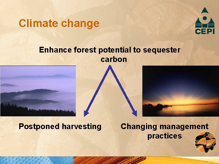 Climate change Enhance forest potential to sequester carbon Postponed harvesting Changing management practices 
