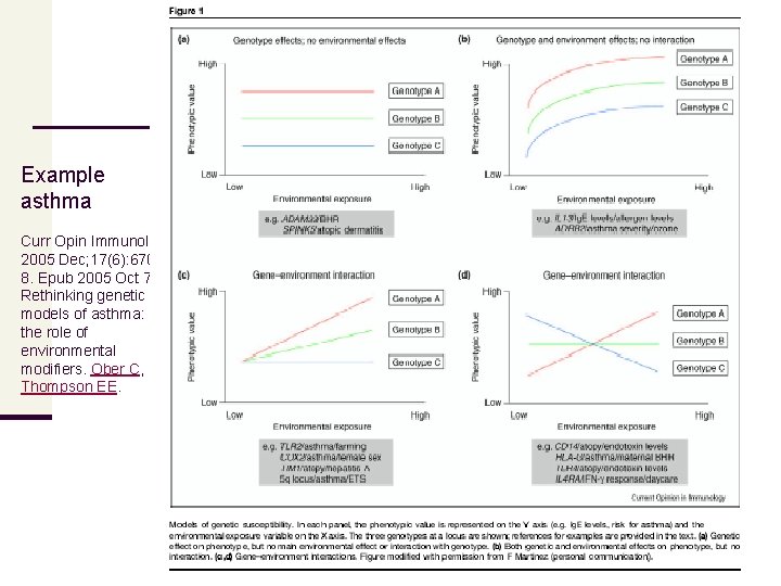 Example asthma Curr Opin Immunol. 2005 Dec; 17(6): 6708. Epub 2005 Oct 7. Rethinking