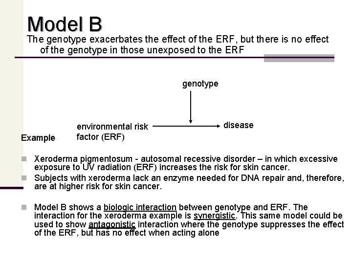 Model B The genotype exacerbates the effect of the ERF, but there is no
