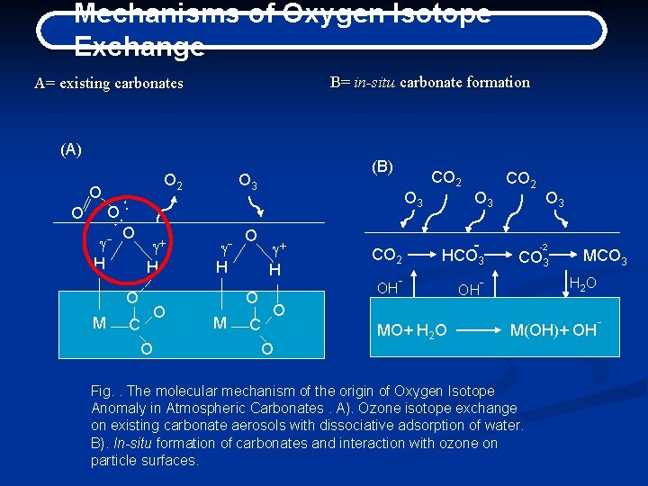 Mechanisms of Oxygen Isotope Exchange B= in-situ carbonate formation A= existing carbonates (A) O