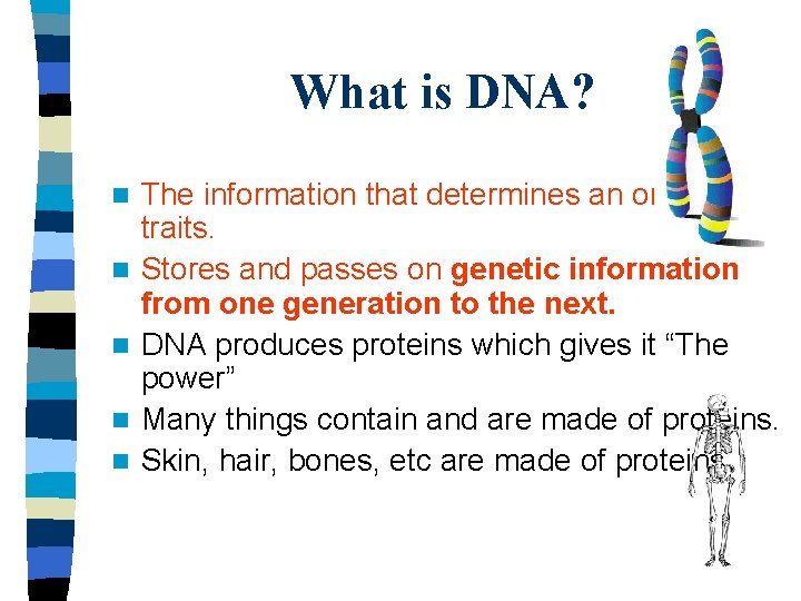 What is DNA? n n n The information that determines an organisms traits. Stores