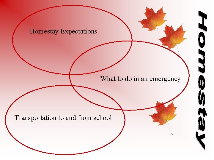 Homestay Expectations What to do in an emergency Transportation to and from school 