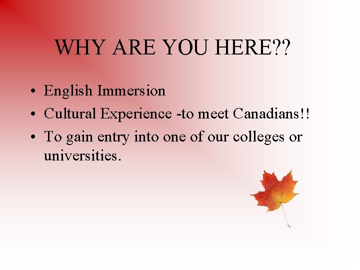 WHY ARE YOU HERE? ? • English Immersion • Cultural Experience -to meet Canadians!!