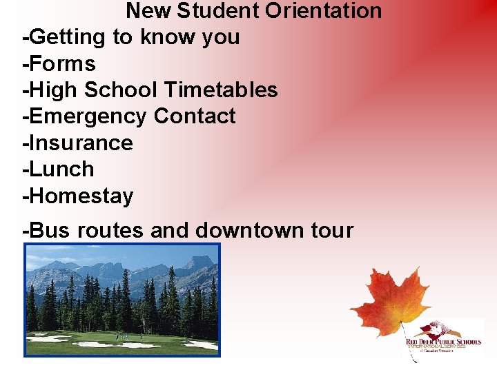 New Student Orientation -Getting to know you -Forms -High School Timetables -Emergency Contact -Insurance