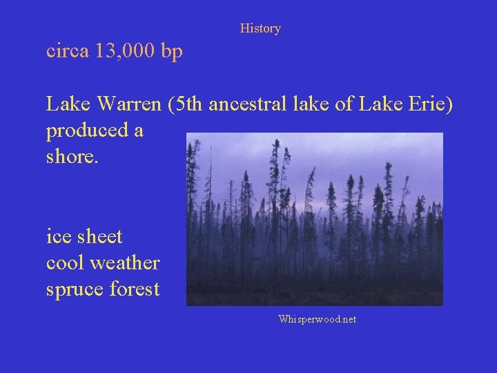History circa 13, 000 bp Lake Warren (5 th ancestral lake of Lake Erie)