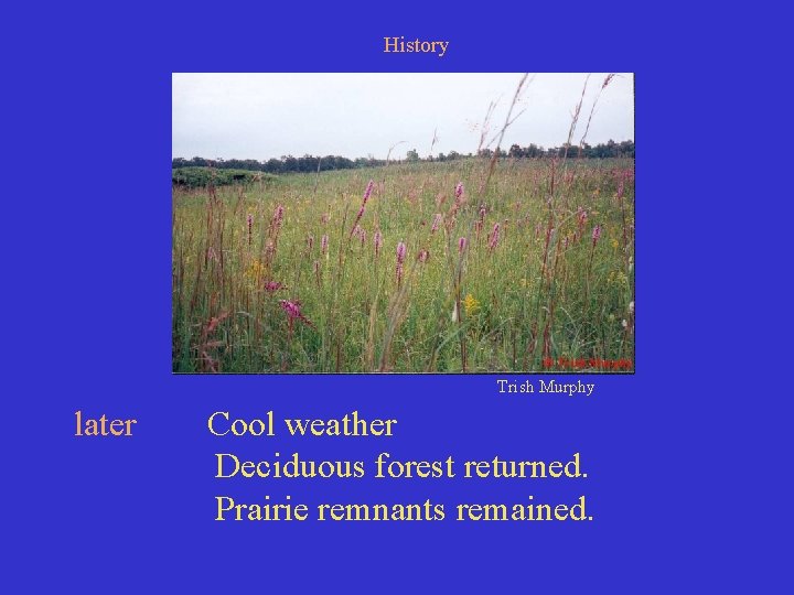 History Trish Murphy later Cool weather Deciduous forest returned. Prairie remnants remained. 