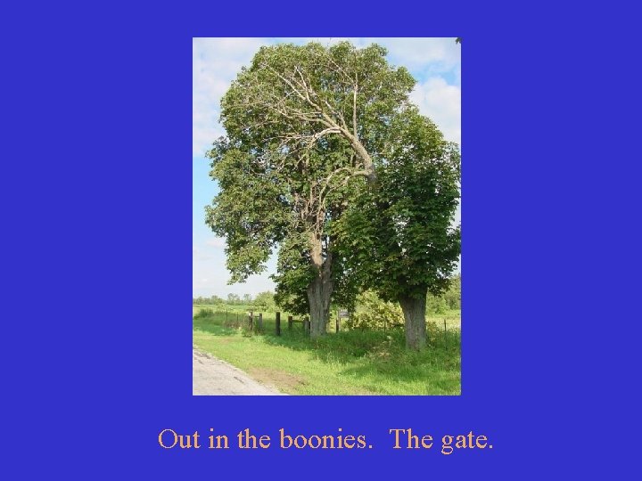 Out in the boonies. The gate. 