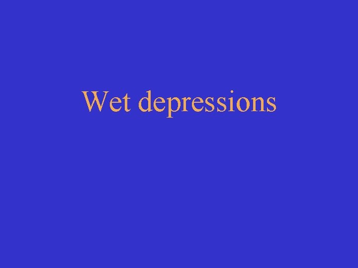 Wet depressions 