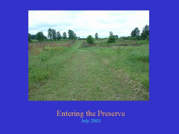 Entering the Preserve July 2003 