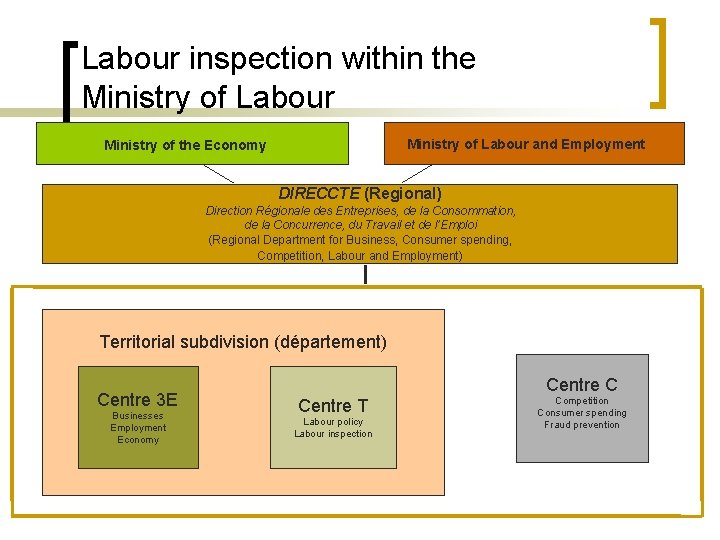 Labour inspection within the Ministry of Labour and Employment Ministry of the Economy DIRECCTE