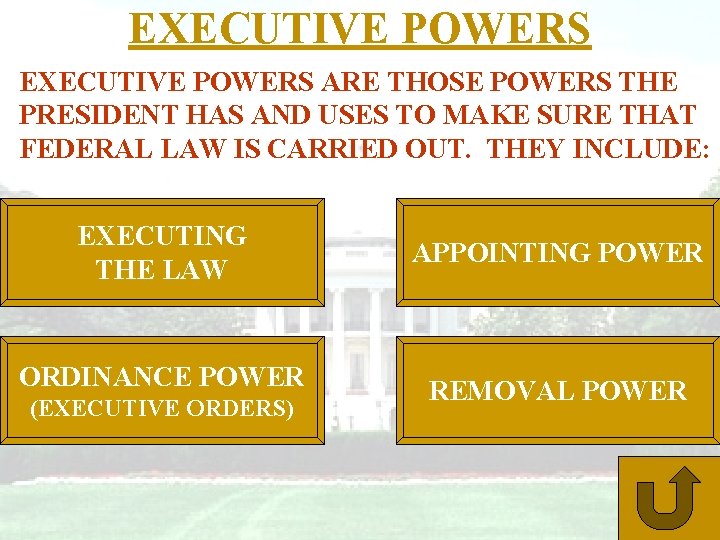 EXECUTIVE POWERS ARE THOSE POWERS THE PRESIDENT HAS AND USES TO MAKE SURE THAT