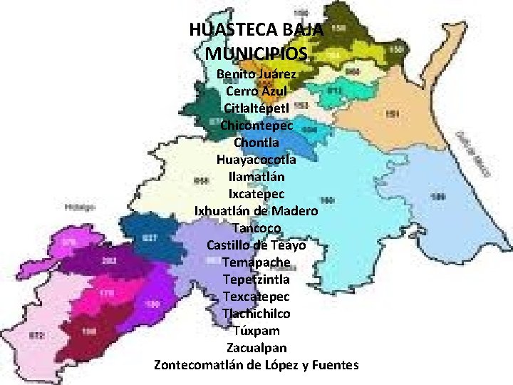 HUASTECA BAJA MUNICIPIOS Benito Juárez Cerro Azul Citlaltépetl Chicontepec Chontla Huayacocotla Ilamatlán Ixcatepec Ixhuatlán