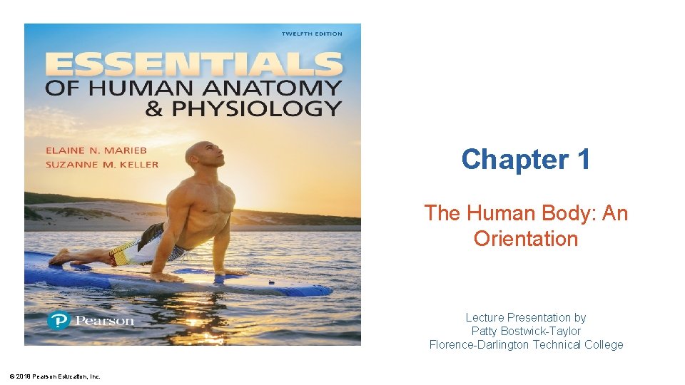 Chapter 1 The Human Body: An Orientation Lecture Presentation by Patty Bostwick-Taylor Florence-Darlington Technical