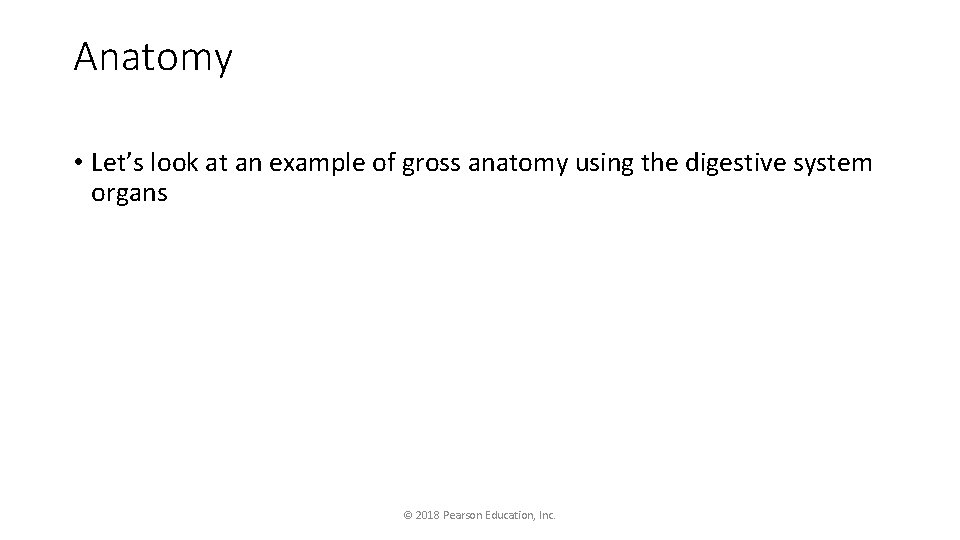 Anatomy • Let’s look at an example of gross anatomy using the digestive system