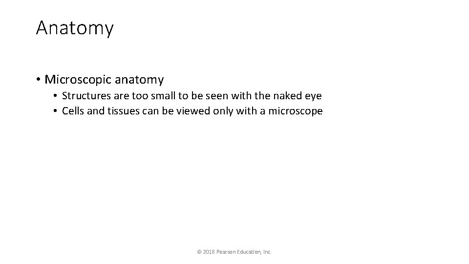 Anatomy • Microscopic anatomy • Structures are too small to be seen with the