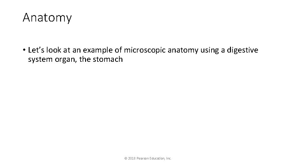 Anatomy • Let’s look at an example of microscopic anatomy using a digestive system