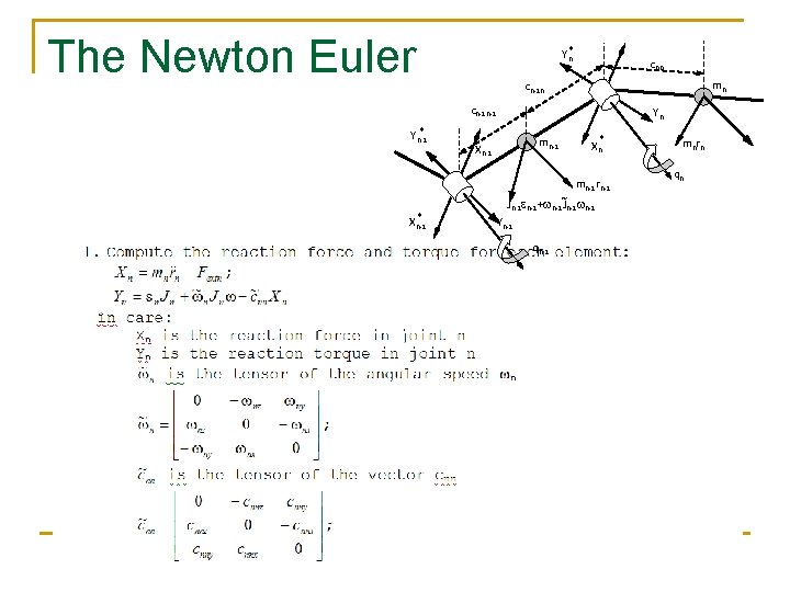 The Newton Euler Yn* cnn mn cn-1 n-1 * Yn-1 Yn mn-1 Xn* mn-1