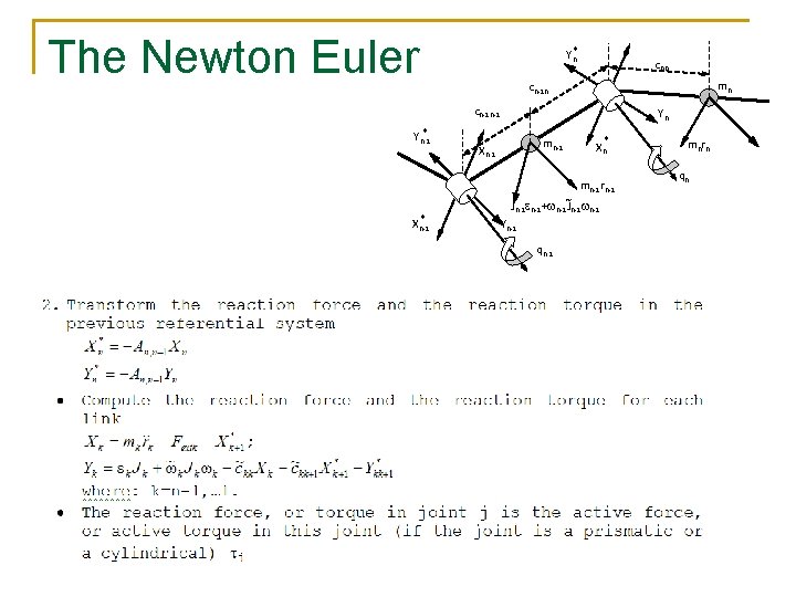 The Newton Euler Yn* cnn mn cn-1 n-1 * Yn-1 Yn mn-1 Xn* mn-1