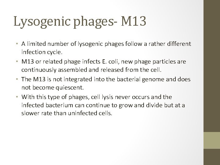 Lysogenic phages- M 13 • A limited number of lysogenic phages follow a rather