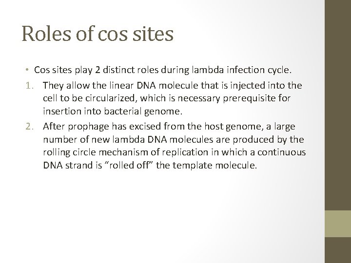 Roles of cos sites • Cos sites play 2 distinct roles during lambda infection