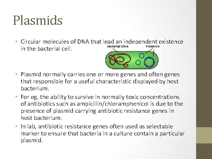 Plasmids • Circular molecules of DNA that lead an independent existence in the bacterial