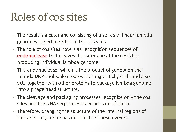 Roles of cos sites - The result is a catenane consisting of a series
