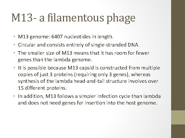 M 13 - a filamentous phage • M 13 genome: 6407 nucleotides in length.