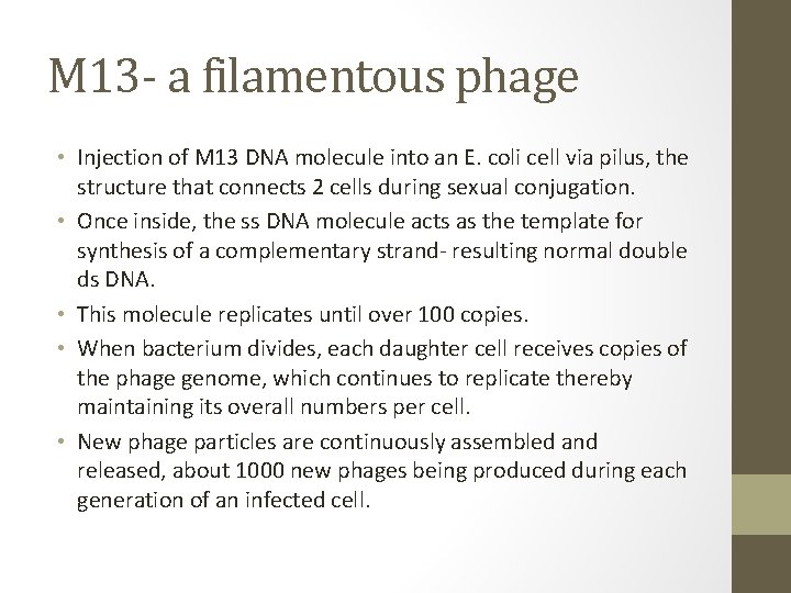 M 13 - a filamentous phage • Injection of M 13 DNA molecule into