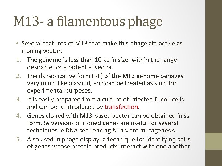 M 13 - a filamentous phage • Several features of M 13 that make