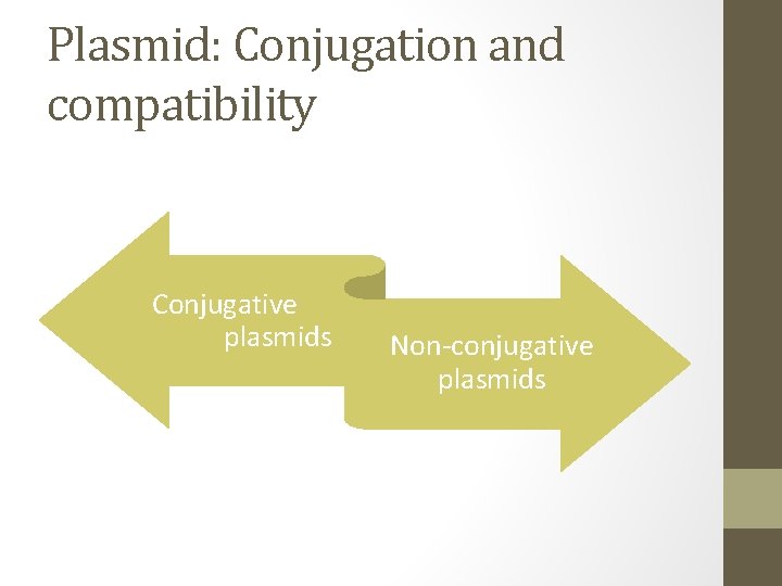 Plasmid: Conjugation and compatibility Conjugative plasmids Non-conjugative plasmids 