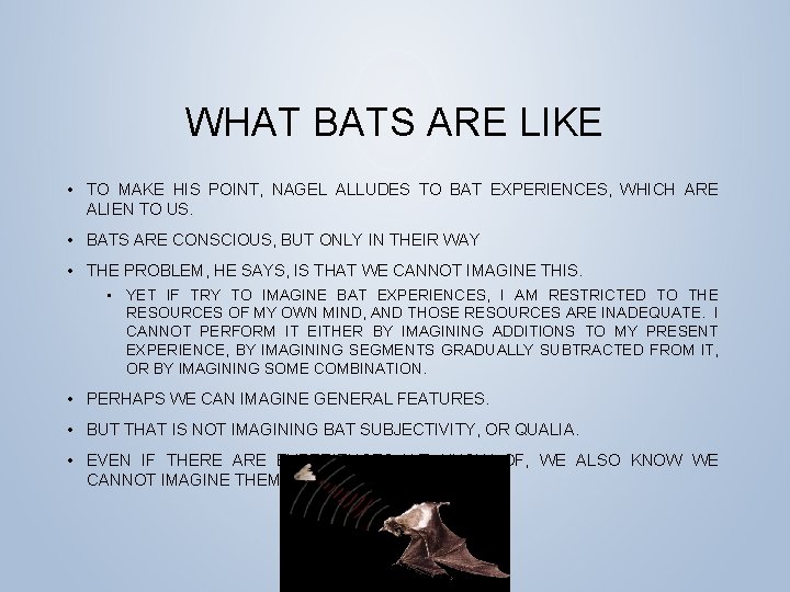 WHAT BATS ARE LIKE • TO MAKE HIS POINT, NAGEL ALLUDES TO BAT EXPERIENCES,