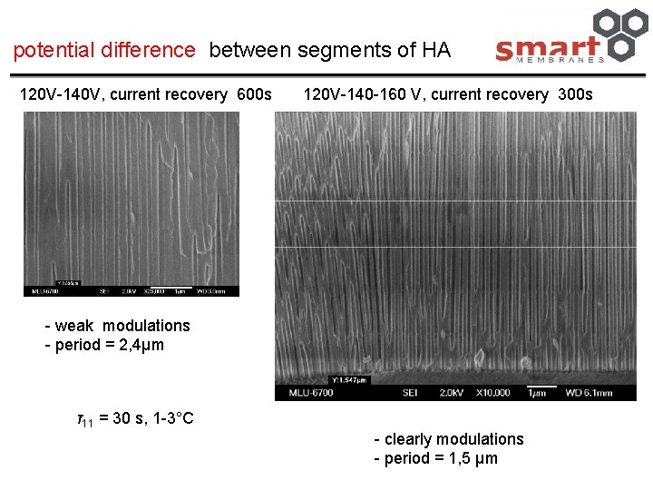 potential difference between segments of HA 120 V-140 V, current recovery 600 s 120