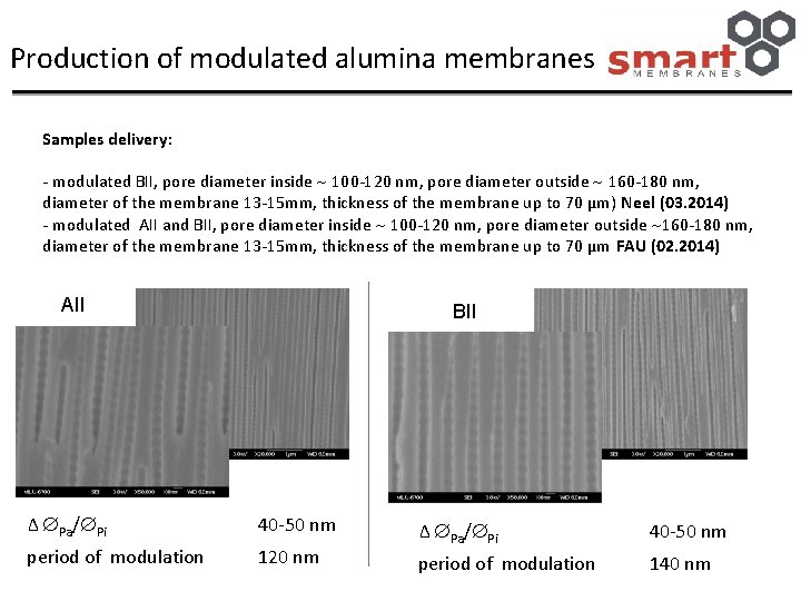 Production of modulated alumina membranes Samples delivery: - modulated BII, pore diameter inside 100