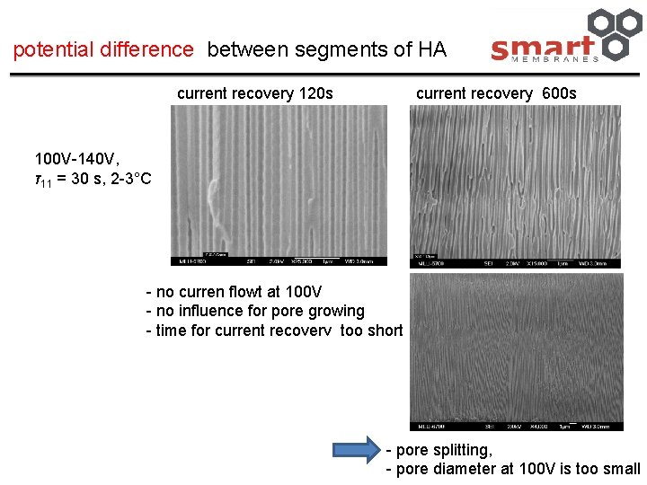 potential difference between segments of HA current recovery 120 s current recovery 600 s
