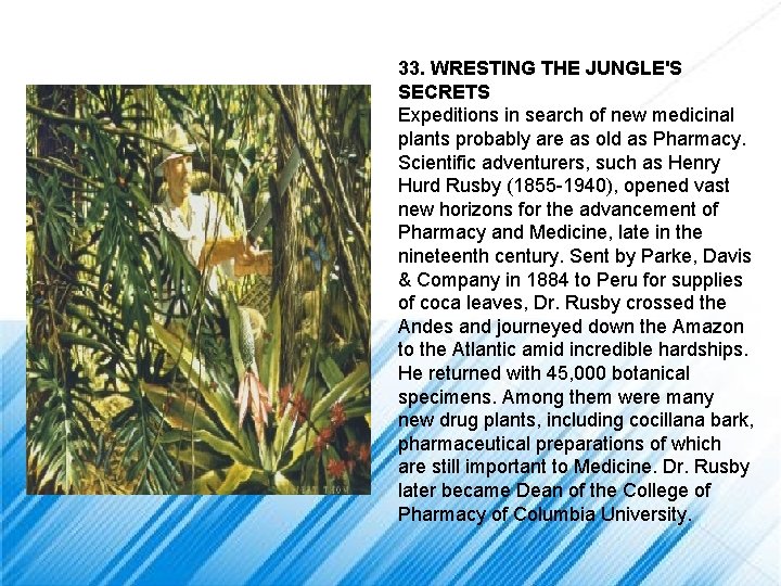 33. WRESTING THE JUNGLE'S SECRETS Expeditions in search of new medicinal plants probably are