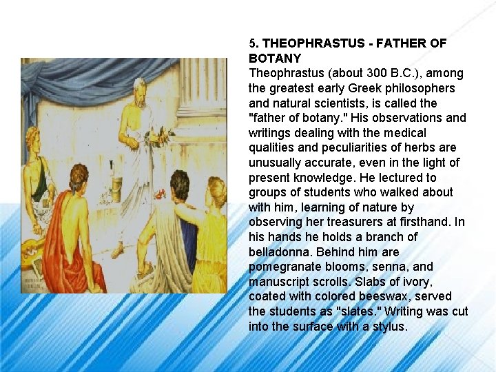 5. THEOPHRASTUS - FATHER OF BOTANY Theophrastus (about 300 B. C. ), among the