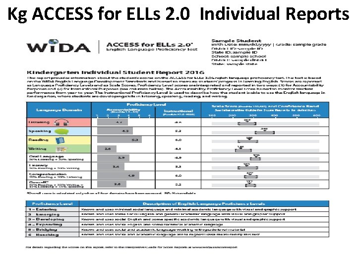 Kg ACCESS for ELLs 2. 0 Individual Reports 