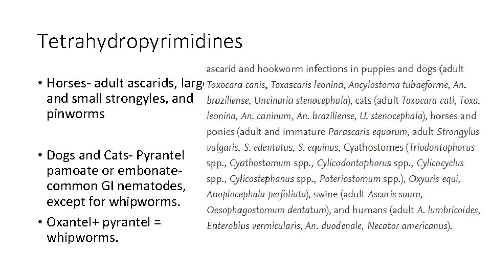 Tetrahydropyrimidines • Horses- adult ascarids, large and small strongyles, and pinworms • Dogs and
