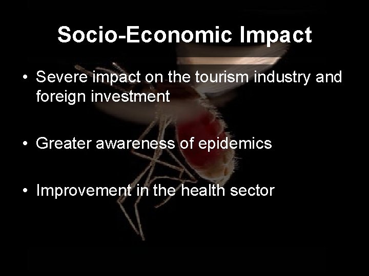 Socio-Economic Impact • Severe impact on the tourism industry and foreign investment • Greater