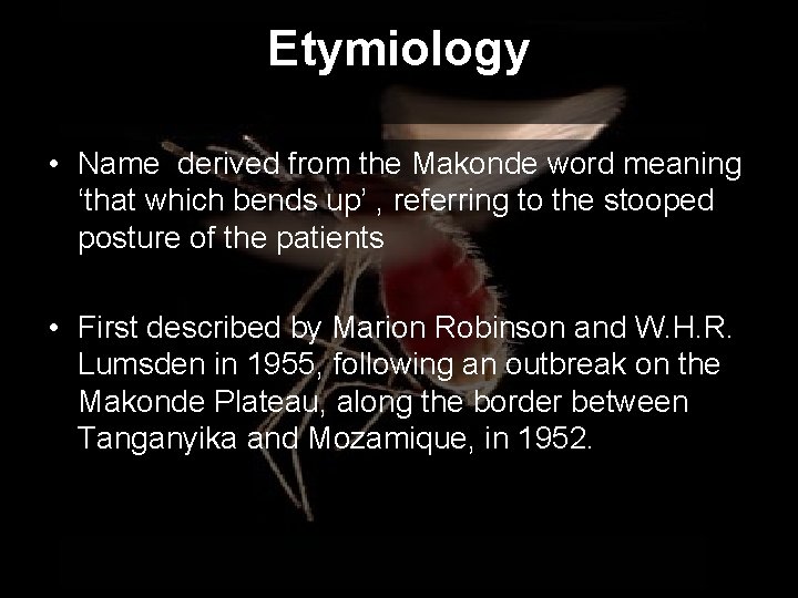 Etymiology • Name derived from the Makonde word meaning ‘that which bends up’ ,