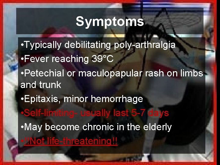 Symptoms • Typically debilitating poly-arthralgia • Fever reaching 39°C • Petechial or maculopapular rash